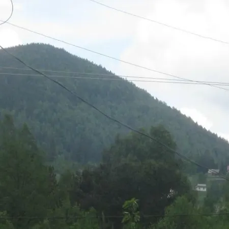 бацули * Mykulychyn