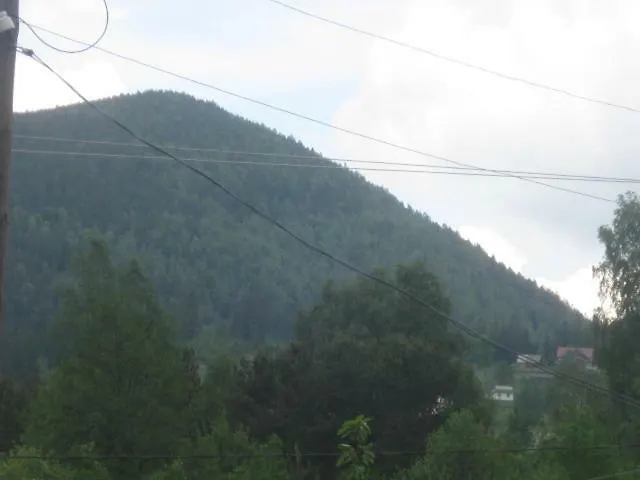 бацули * 米库利钦