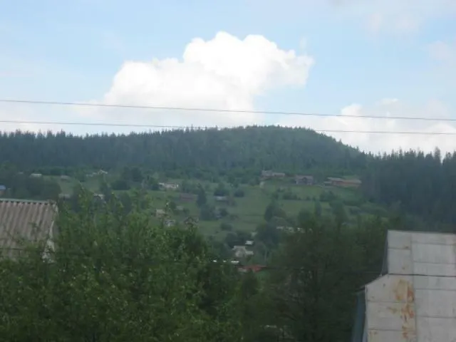 度假居 бацули